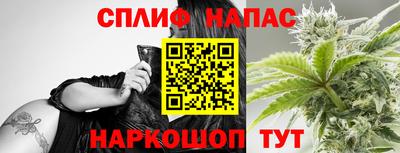 прущие грибы Малгобек