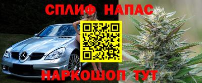 прущие грибы Малгобек